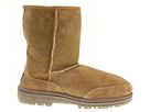 Ugg Ultra Short - Women's