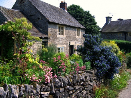 Gardens photograph