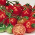 Tomato Bloody Butcher (Heirloom) - 1 Pkt. (30 seeds)